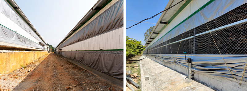  Curtain Winching System for poultry houses, designed for easy-to-use operation with UV stabilized curtains, offering durable and waterproof poultry curtains for enhanced poultry house ventilation   