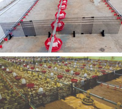 poultry partition